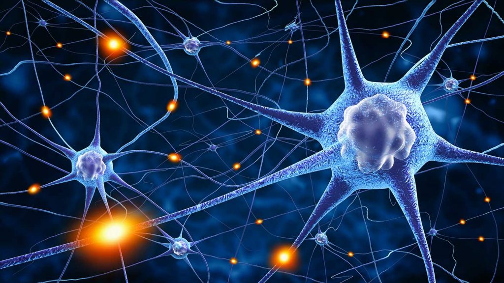 Stillisiertes Bild von diversen Nervenzellen und ihren Nervenbahnen bei der Weiterleitung von Impulsen und Signalen